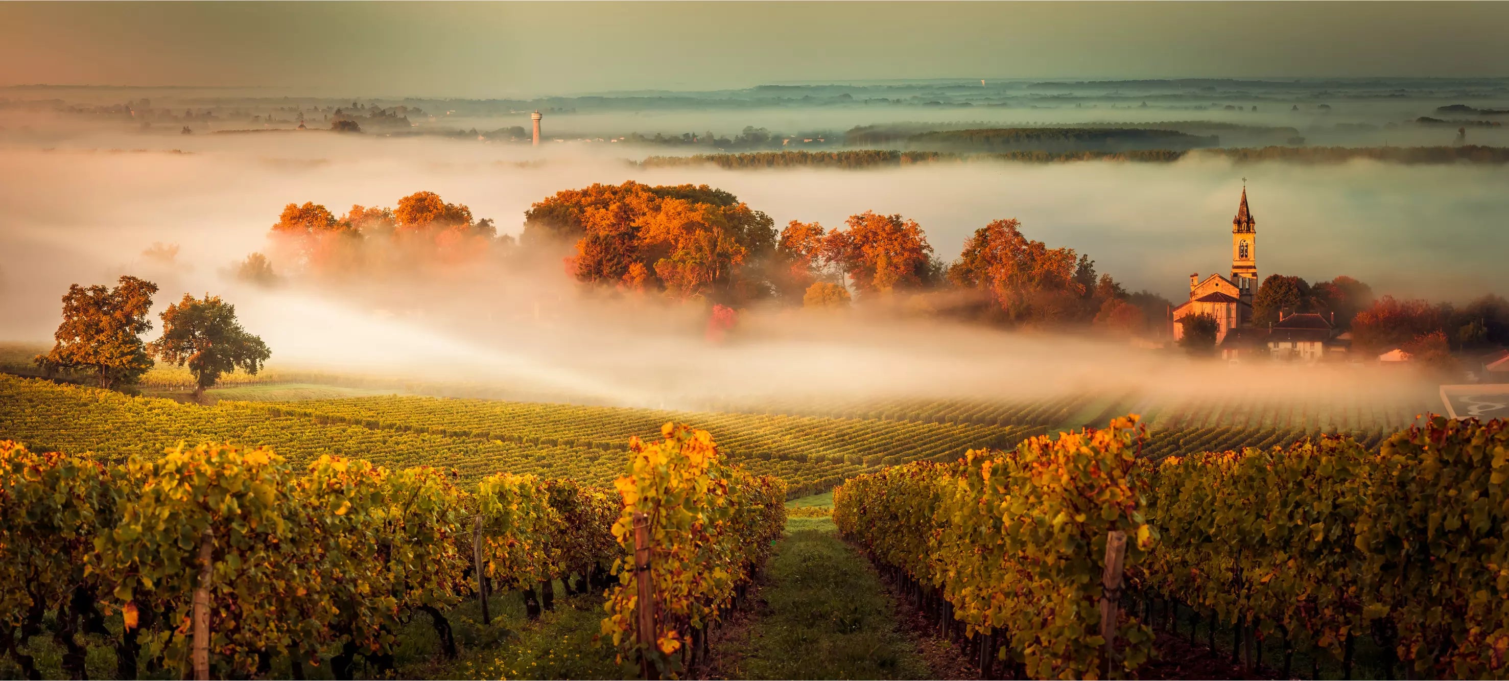 Friarwood's Ultimate Guide to Bordeaux Classifications