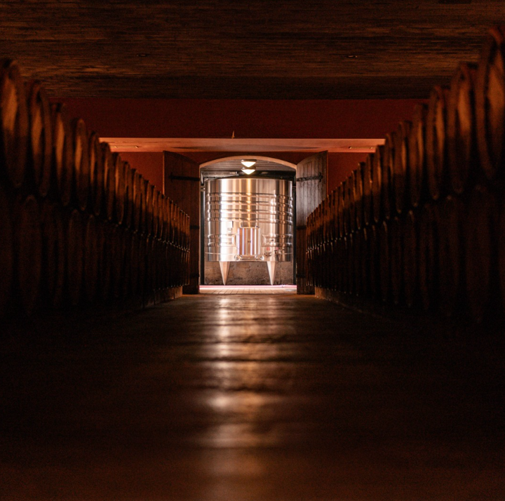 A dimly lit corridor flanked by oak barrels, leading to a bright stainless-steel fermentation tank at Château d'Issan.