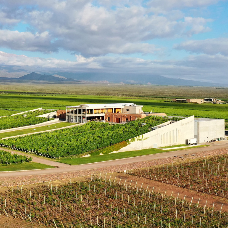 A photo of the bodega monteviejo vineyard and winery