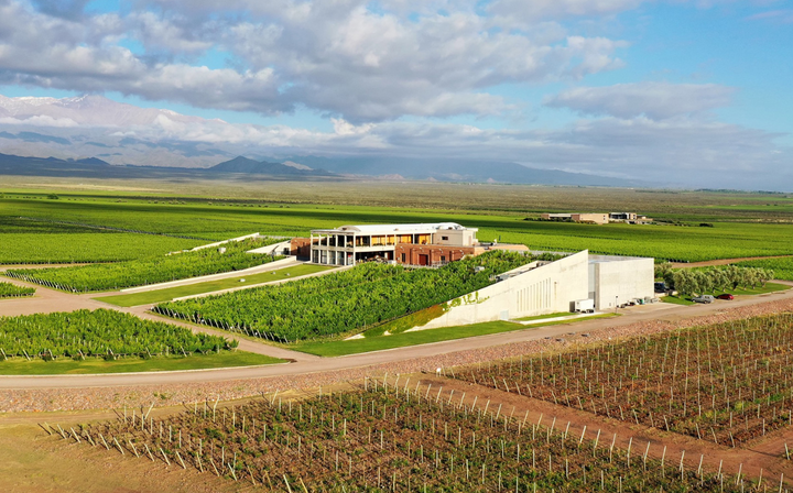 A photo of the bodega monteviejo vineyard and winery