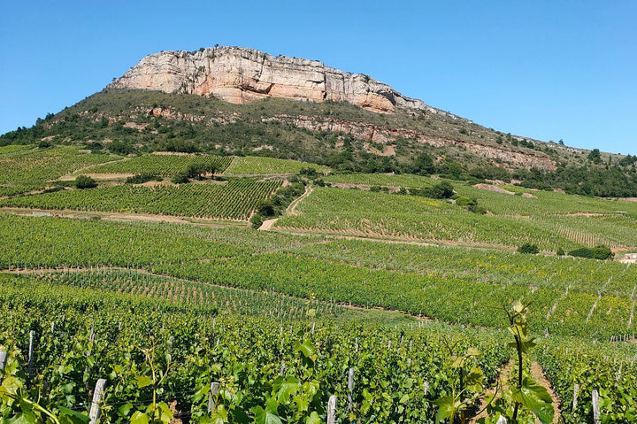 2022  Domaine Philippe Charmond Pouilly Fuisse 1er Cru  'Sur la Roche'