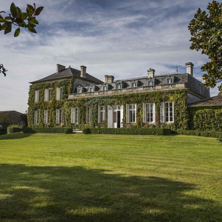 Front view of the Château Talbot estate, a historic ivy-covered manor surrounded by lush green lawns and trees.