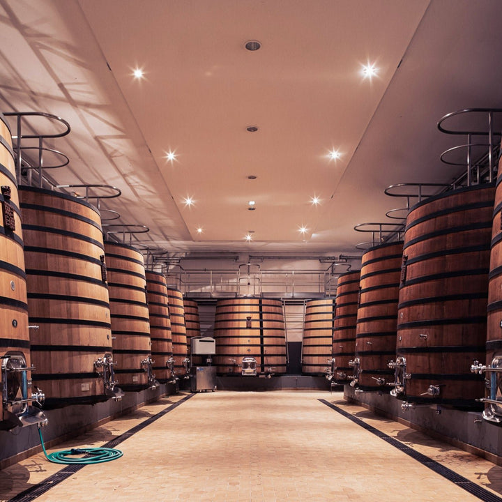 A vinification room at Château Talbot, showcasing large wooden fermentation vats aligned in two rows under a lit ceiling.