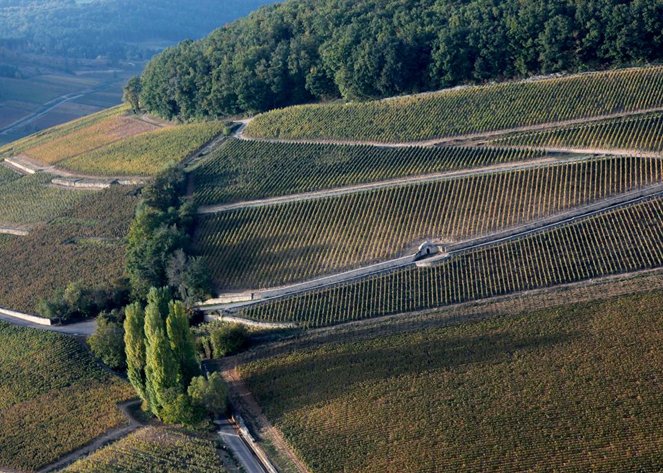 2018 Domaine Antonin Guyon, Savigny les Beaune 'Les Goudelettes'