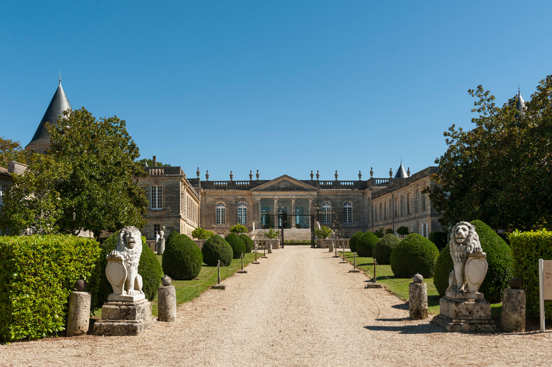 2019 Chateau Saint Georges (Saint Emilion)