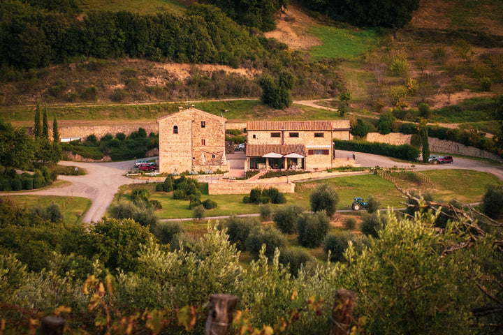 2016 Tenuta Fanti, Vin Santo Sant'Antimo