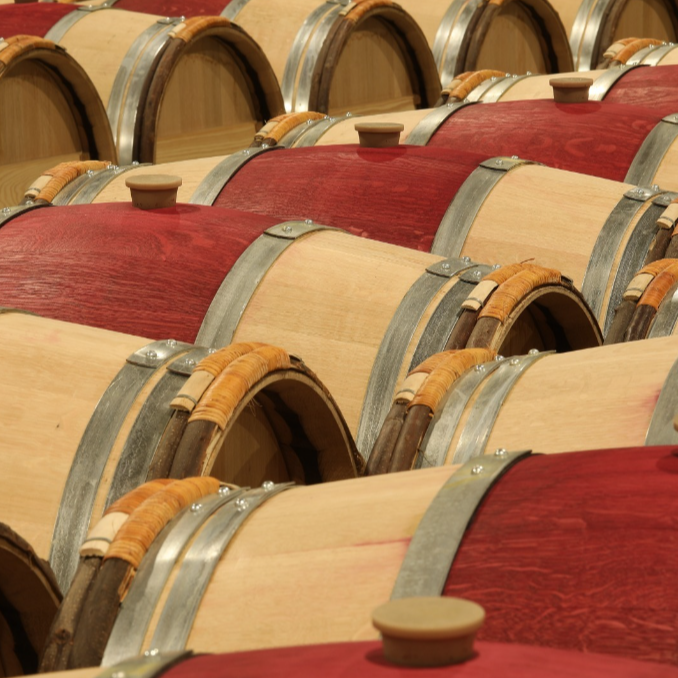 A collection of oak barrels with deep red tops, lined neatly in the cellar at Opus One Winery.