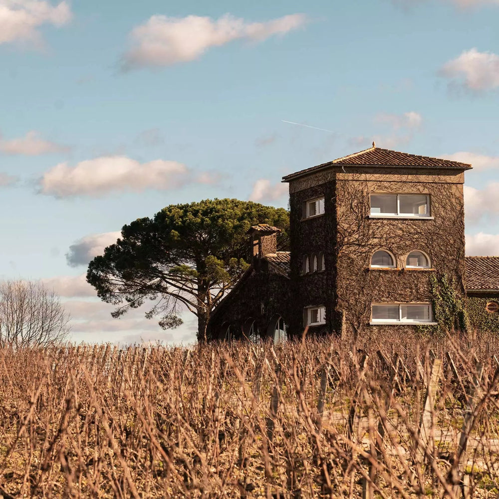 A scenic view of a historic stone tower surrounded by rows of leafless vineyards under a clear sky.