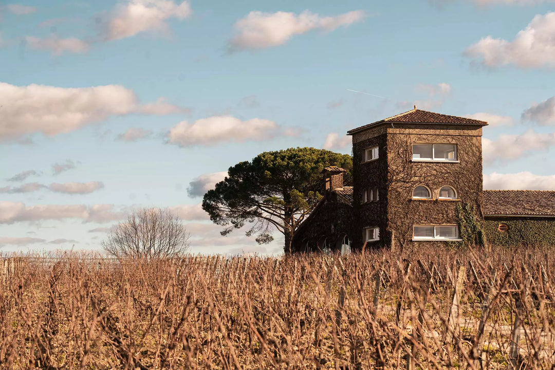 A scenic view of a historic stone tower surrounded by rows of leafless vineyards under a clear sky.