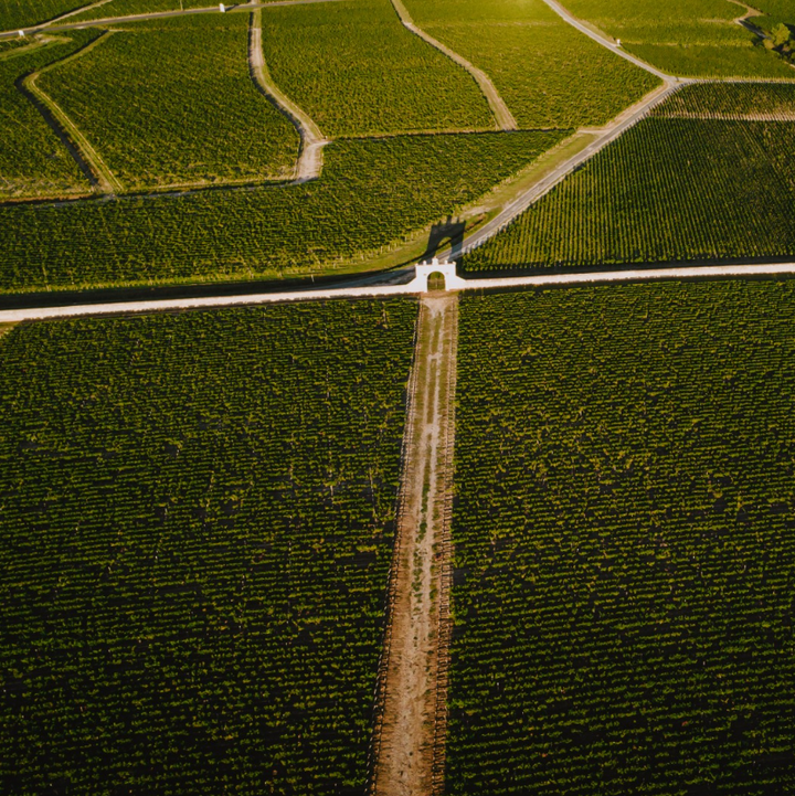 Aerial view of lush green vineyards at Château d'Issan with intersecting dirt paths and a gated archway.