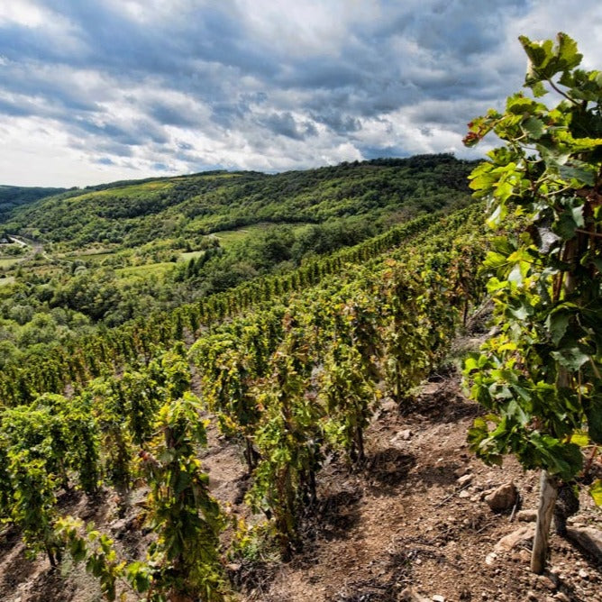 2018 Domaine Gilles Flacher Condrieu Les Rouelles