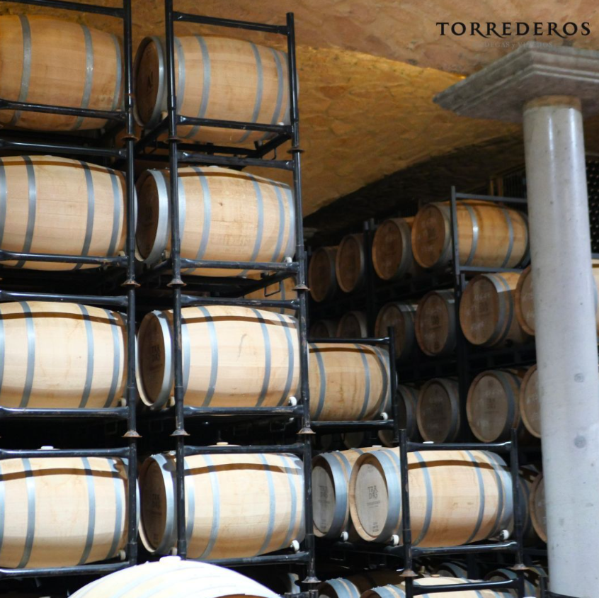 Barrel room at Bodegas Torrederos winery