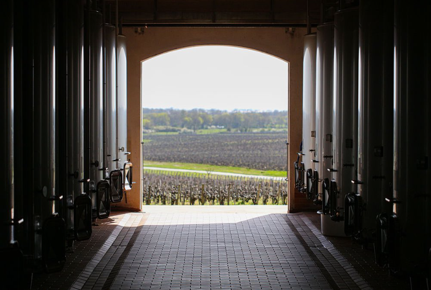 A modern winery with stainless steel fermentation tanks overlooking a vineyard, enhancing the winemaking process.