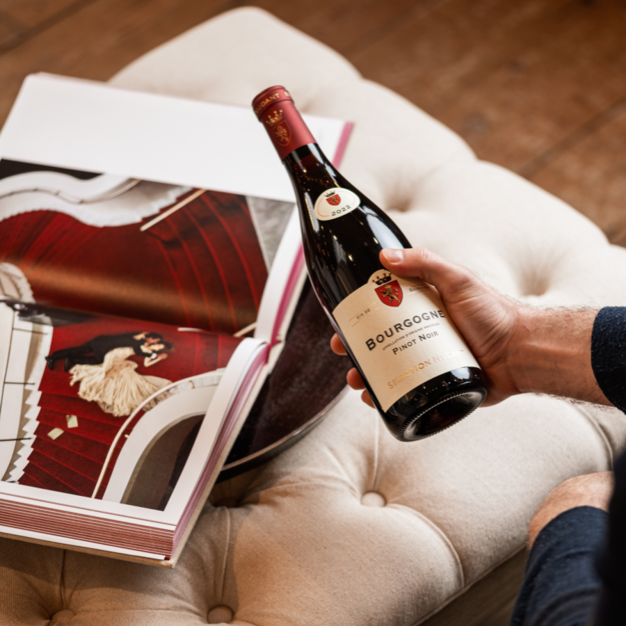 Hand holding a bottle of Bourgogne Pinot Noir Selection Nudant 2022 against a cozy background with a coffee table book and cushioned seating, emphasizing an elegant wine tasting experience.