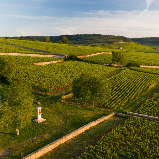 2018 Domaine Vincent Bouzereau Corton rouge Grand Cru 'Les Fietres'