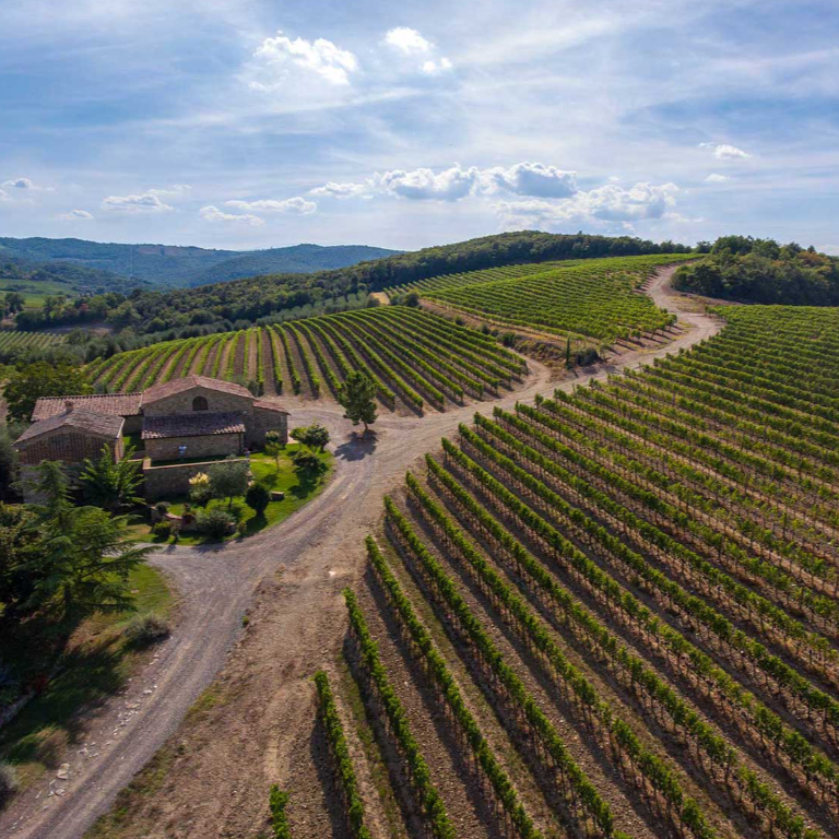 Aerial view of Capanna vineyards in Montalcino, with rolling hills and a rustic estate surrounded by rows of grapevines.