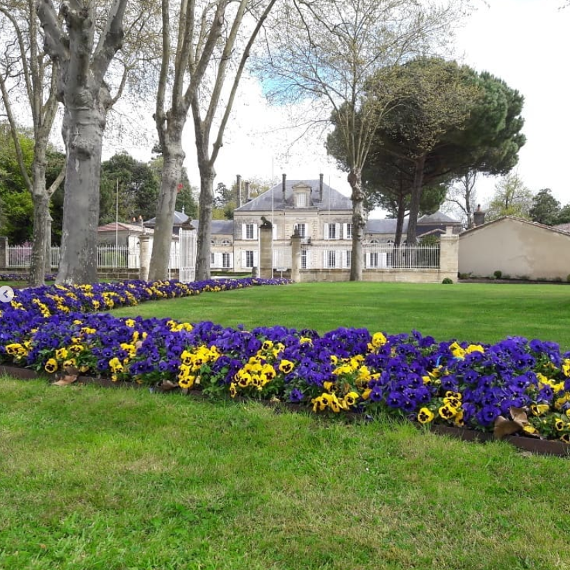 Beautiful garden with vibrant flowers leading to the elegant mansion at Chateau Batailley, capturing the winery’s charm and grandeur.