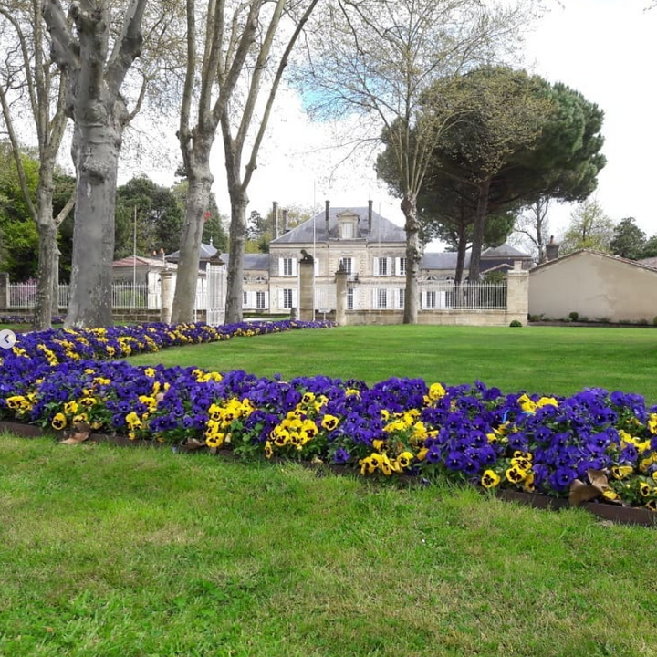 Beautiful garden with vibrant flowers leading to the elegant mansion at Chateau Batailley, capturing the winery’s charm and grandeur.