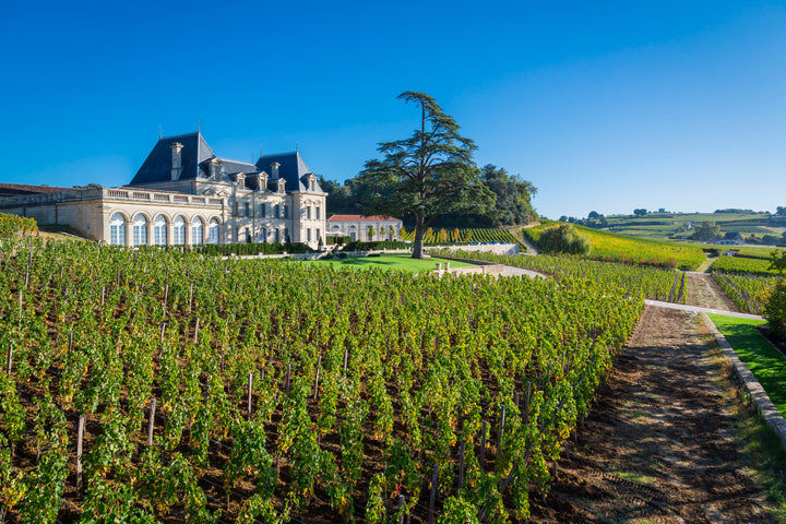 Château Fonplegade vineyard with the château in the background on a sunny day in Saint-Émilion.