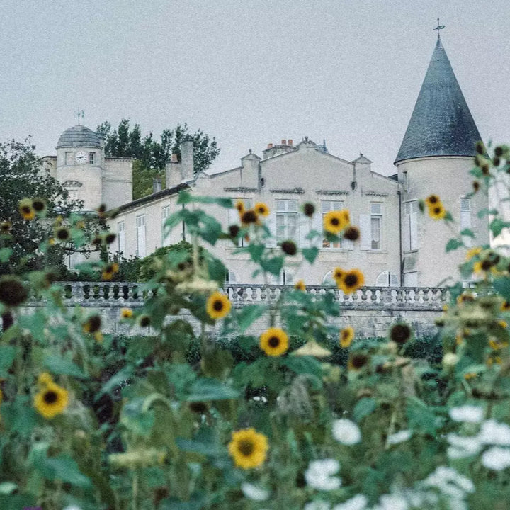 The beautiful Château Lafite Rothschild estate in Pauillac, surrounded by sunflowers.