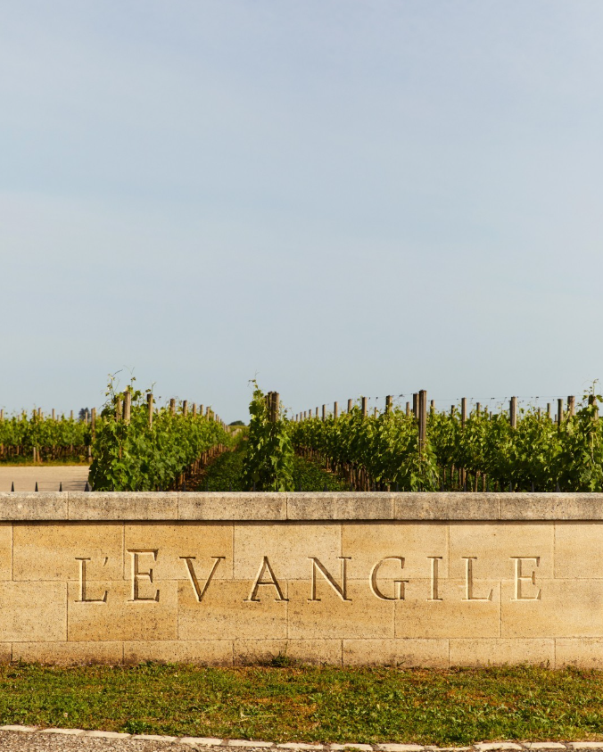 The Château L'Évangile vineyard sign with lush vines growing in the background.