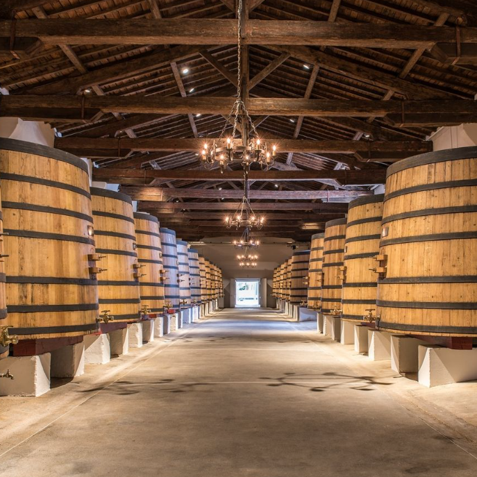 Château Margaux wine cellar featuring rows of large wooden fermentation barrels under a rustic wooden-beamed ceiling.