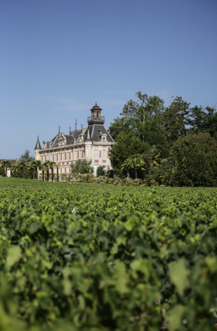 The grand Château Marquis d'Alesme, surrounded by lush vineyards in Margaux.