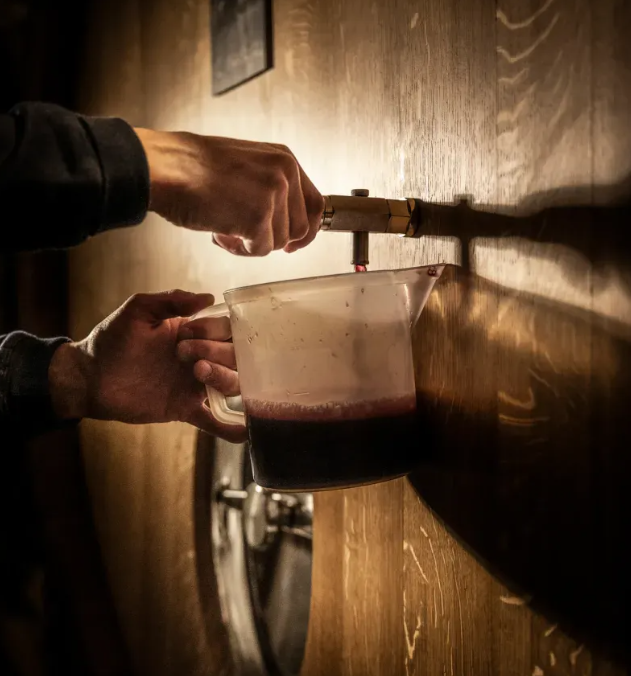 A winemaker drawing wine from a barrel for tasting at Château Palmer.