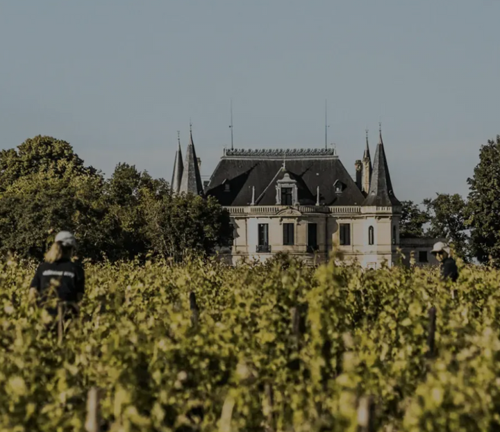 Château Palmer vineyard with the historic château in the background, showcasing lush grapevines.