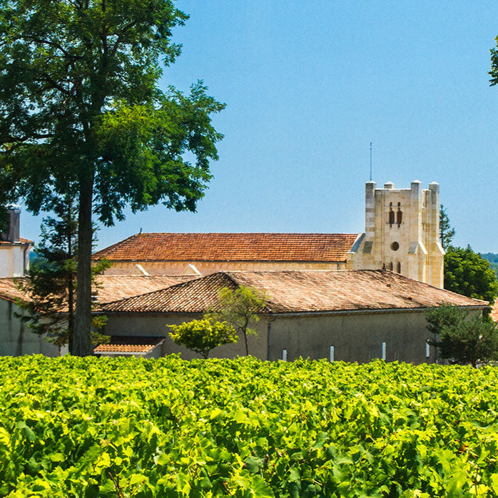 Château Potensac surrounded by lush vineyards and greenery, showcasing the estate's historic charm and winemaking heritage.