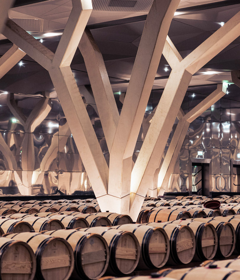 Barrel room of Château Talbot with modern architecture and rows of aging barrels.