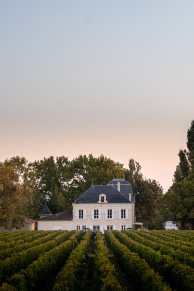 A beautiful Bordeaux vineyard estate at sunset, with lush vines leading up to an elegant château surrounded by trees.