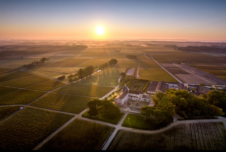 Aerial view of Château d'Yquem vineyard at sunrise with sprawling vineyards.