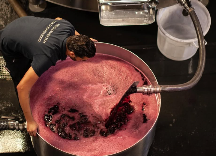 A winemaker overseeing the fermentation process at Cos d'Estournel, with a large vat of vibrant red wine.