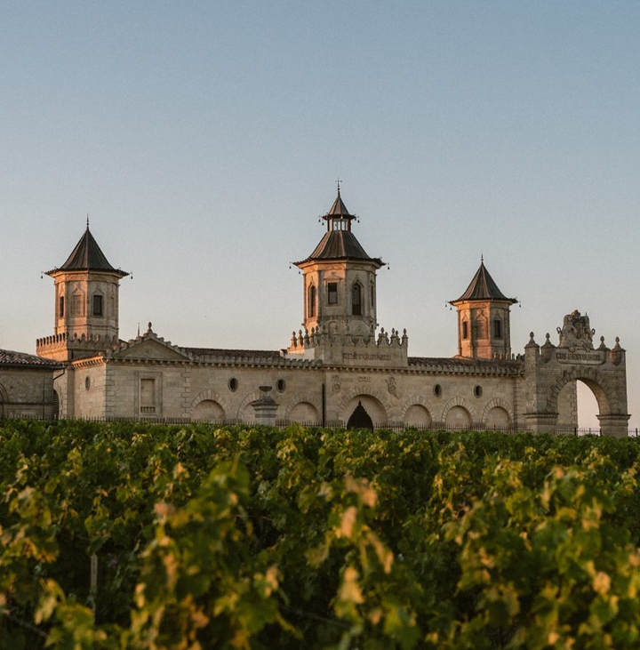 A picturesque view of the Cos d'Estournel estate with vineyard rows in the foreground, bathed in soft sunset light.