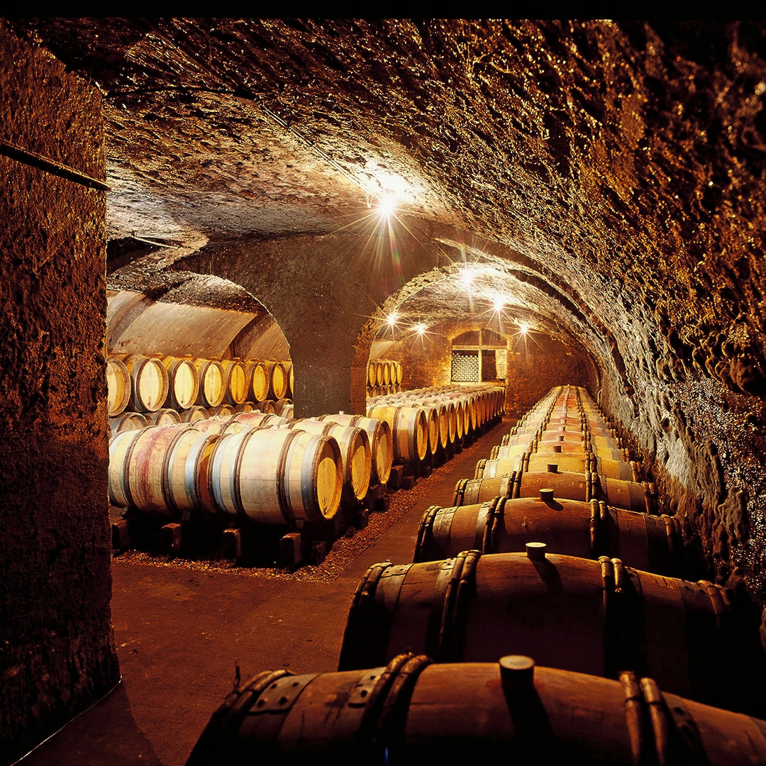 The wine cellar at Domaine Antonin Guyon in Burgundy, showcasing rows of oak barrels used for ageing fine wines in a historic, atmospheric underground setting