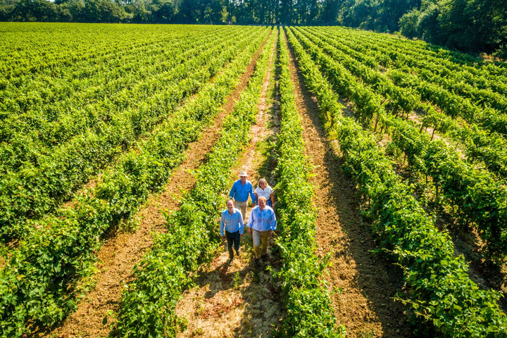 Family of Domaine La Croix Belle walking through lush vineyard rows in Languedoc on a sunny day.