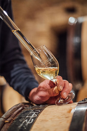 A hand pouring white wine into a glass directly from a barrel at Domaine Vincent Bouzereau.