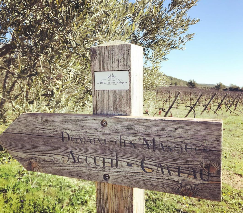 Wooden signpost at Domaine des Masques vineyard surrounded by olive trees and vineyard rows under a clear blue sky.