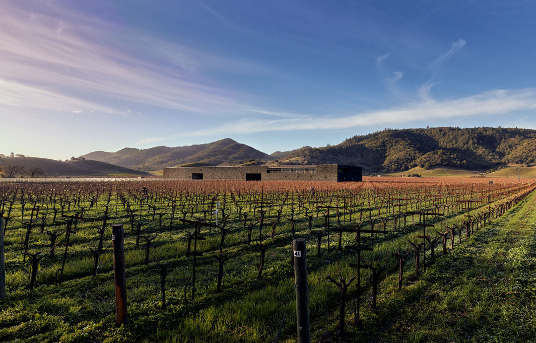 A photo of the Dominus vineyard in winter