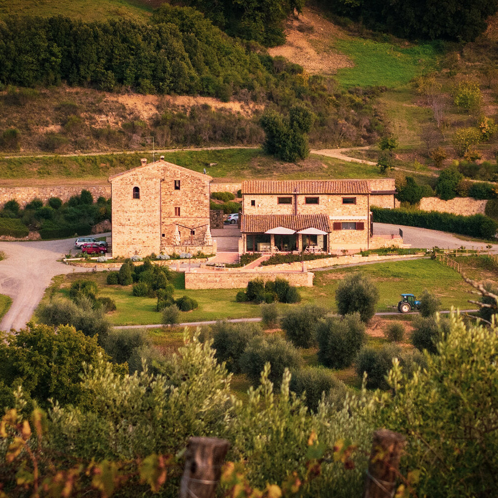 Picturesque Fanti estate surrounded by vineyards and olive trees in Montalcino, Tuscany.