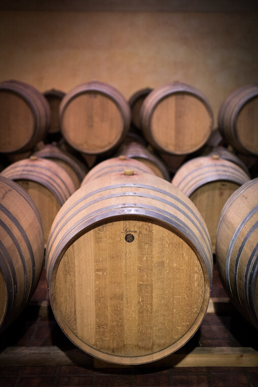 A collection of wooden wine barrels in the cellar at Fanti, Montalcino, Italy.