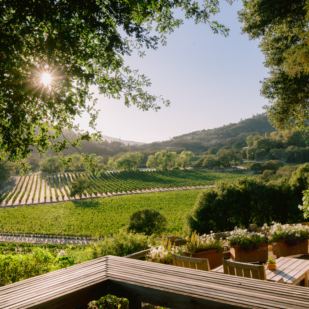 Beautiful view of Joseph Phelps Vineyards in Napa Valley with vibrant green vineyard rows and a serene backdrop.