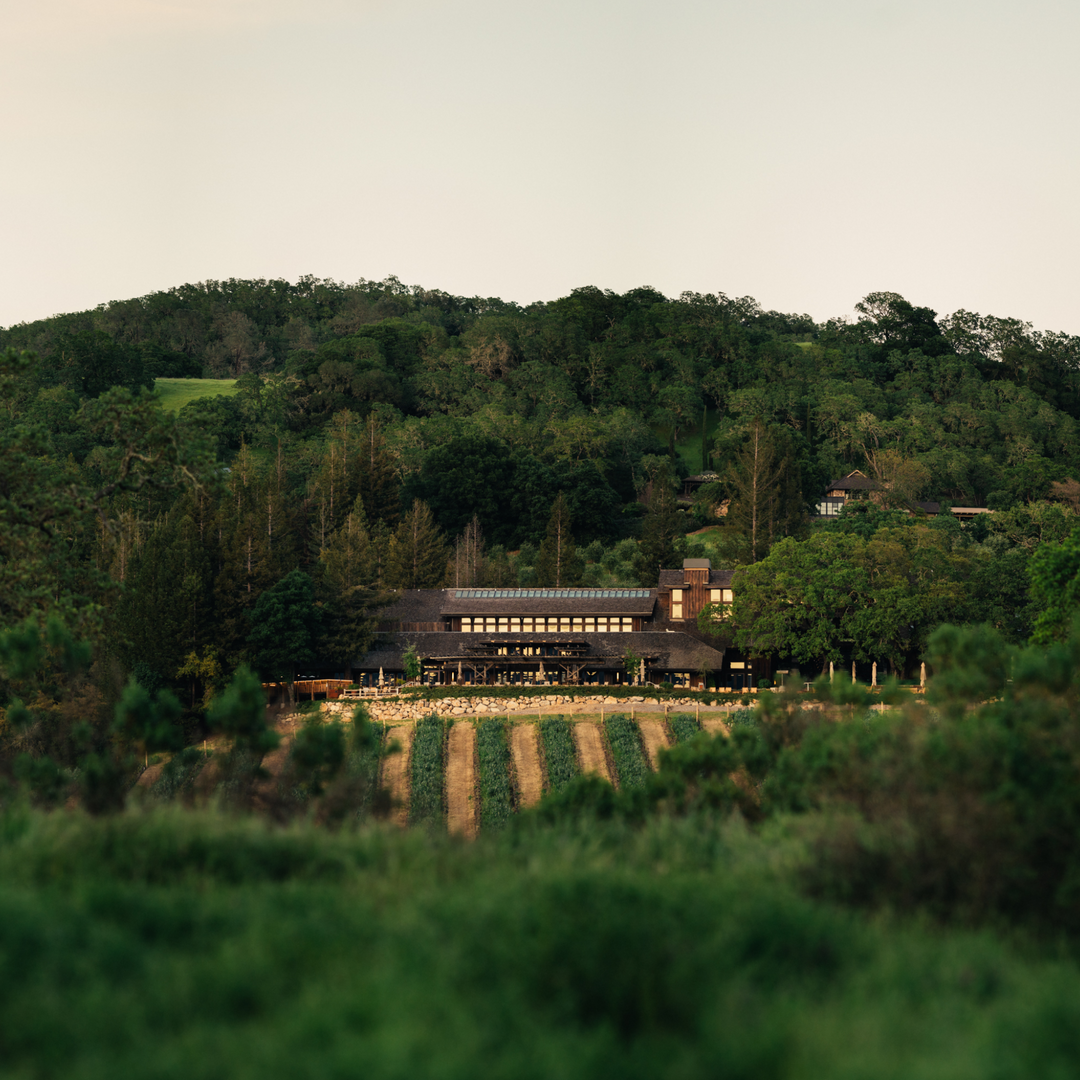 Joseph Phelps Vineyards in Napa Valley surrounded by lush green hills and vineyard rows.