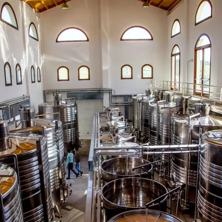 A modern winery interior with stainless steel fermentation tanks, large windows, and high ceilings.