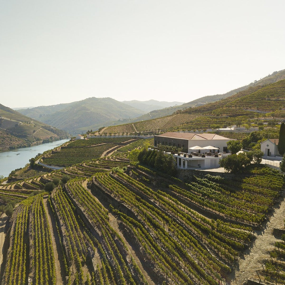 Aerial view of Kopke vineyards in the Douro Valley, showcasing terraced vineyards alongside a river under the golden afternoon sun.