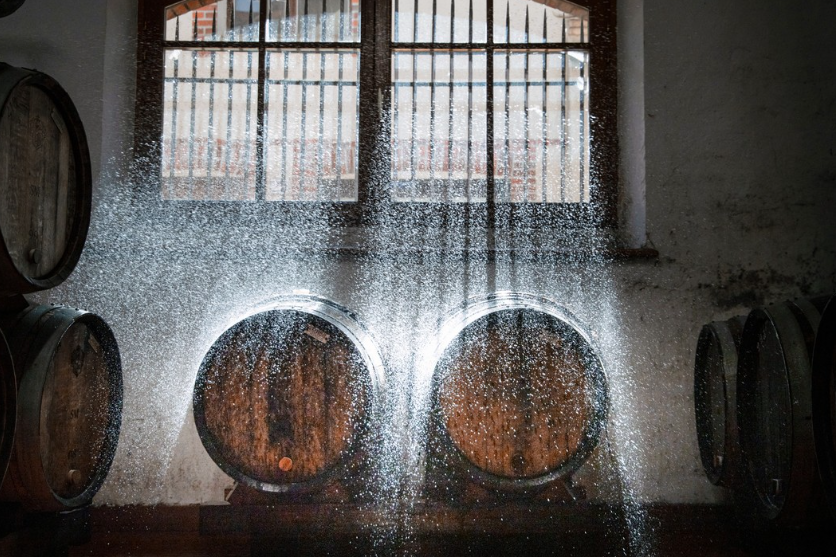 A misty scene of wine barrels being humidified in the atmospheric Krug wine cellar.