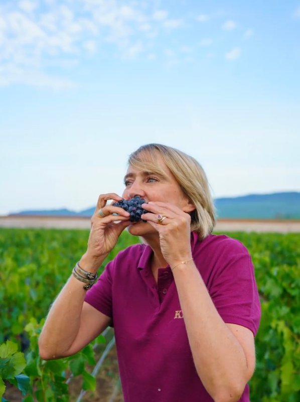 A winemaker enjoying freshly harvested grapes in the Krug vineyard under a clear blue sky.