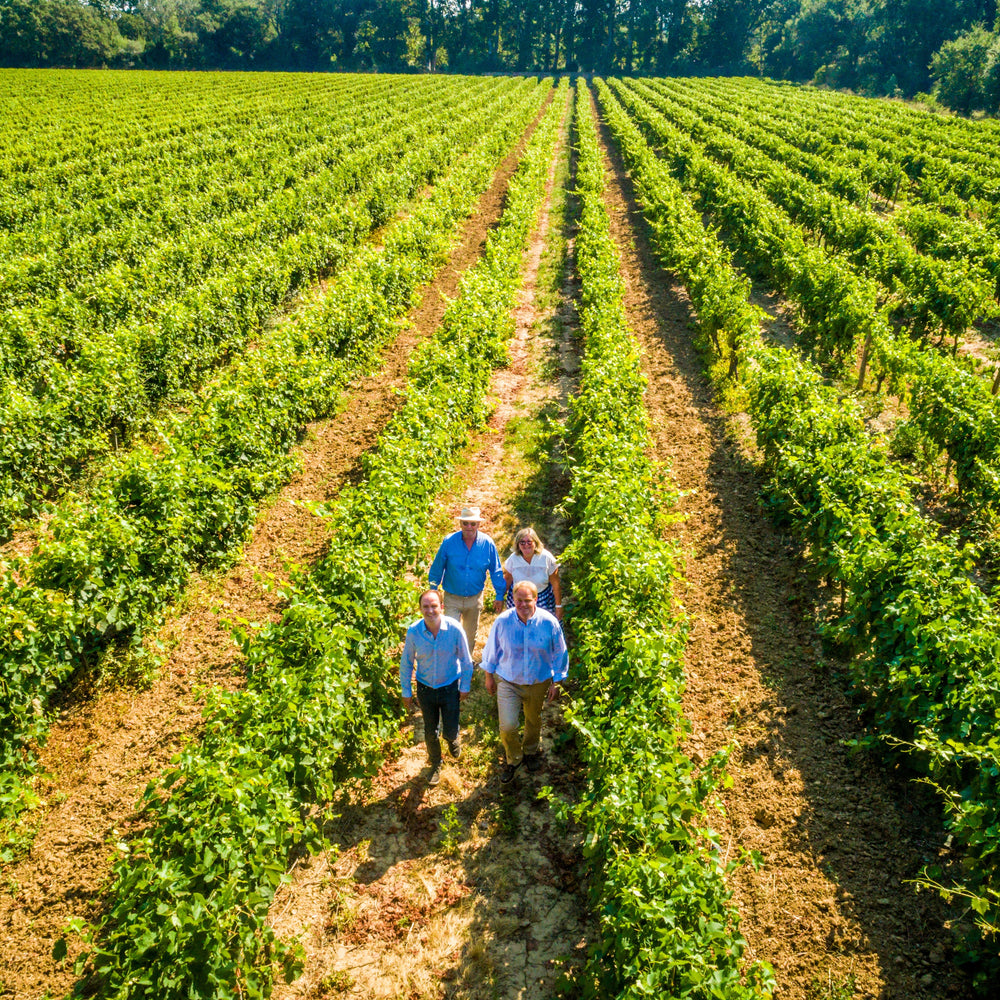 La Croix Belle vineyard rows with family walking among the vines in the French countryside.