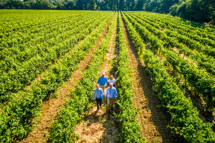 La Croix Belle vineyard rows with family walking among the vines in the French countryside.